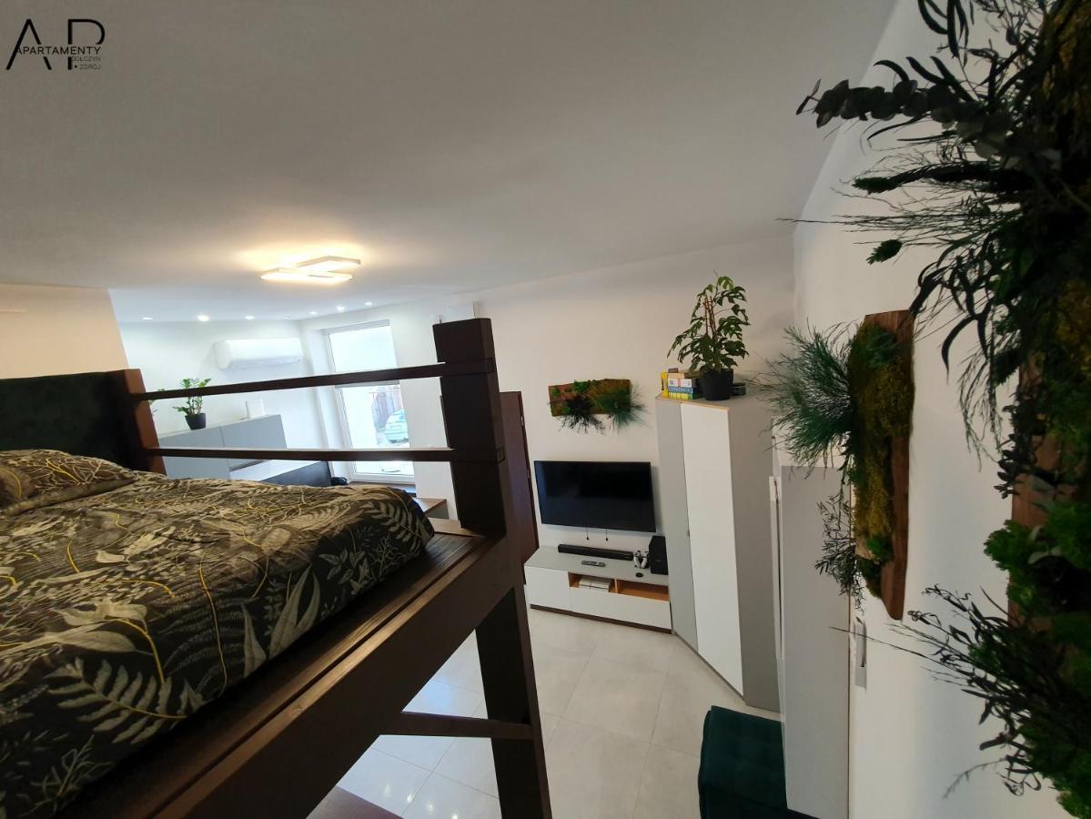 Przy Kosciele Apartment *